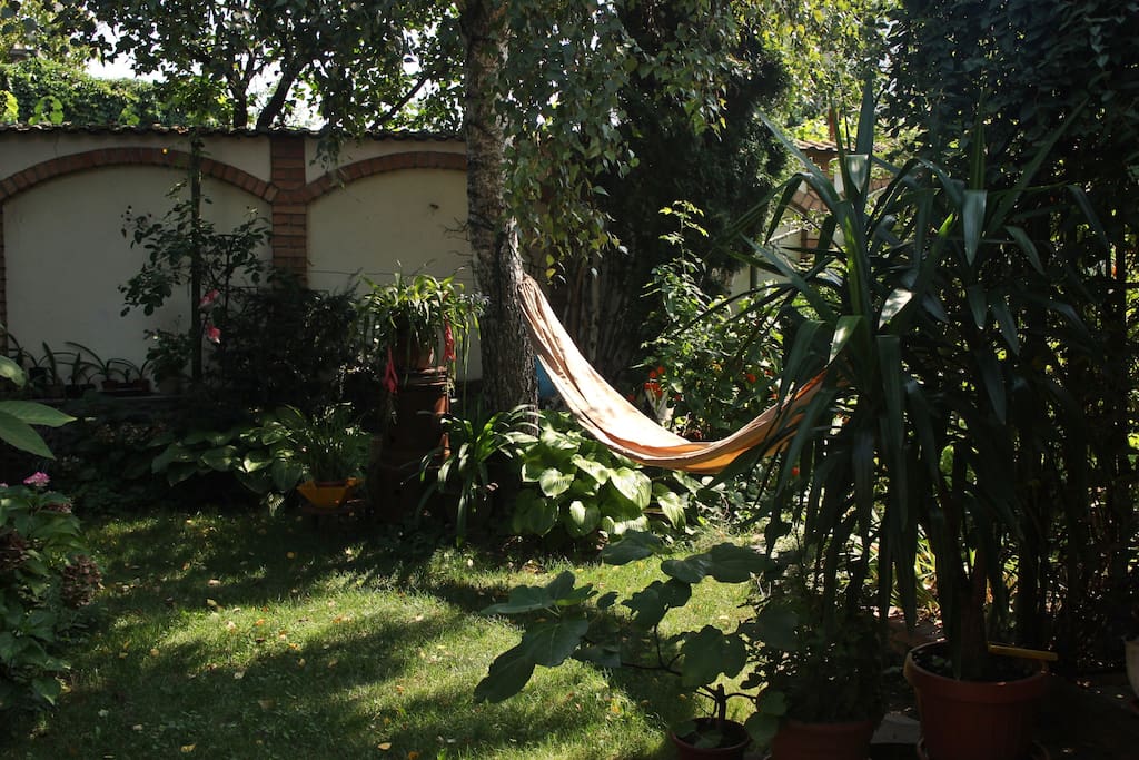Garden with hammock