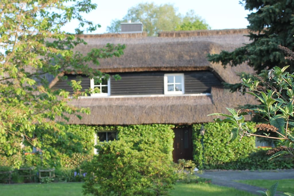 Die Ferienwohnung im schilfgedeckten Efeuhaus.