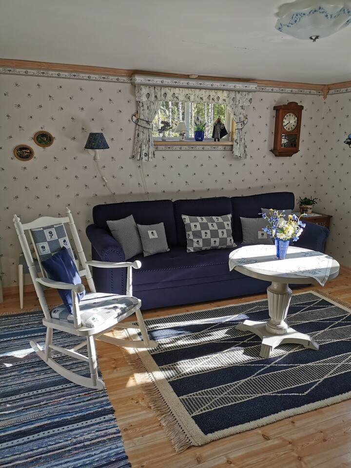 Ruang tamu dengan katil sofa