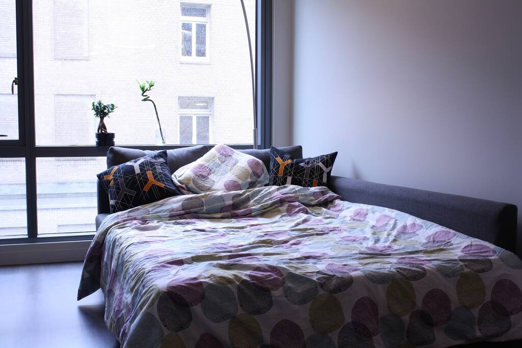 Cozy queen size pull out futon