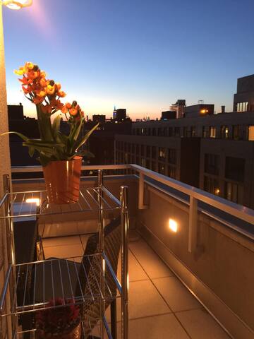 Luxury apt in the heart of Williamsburg