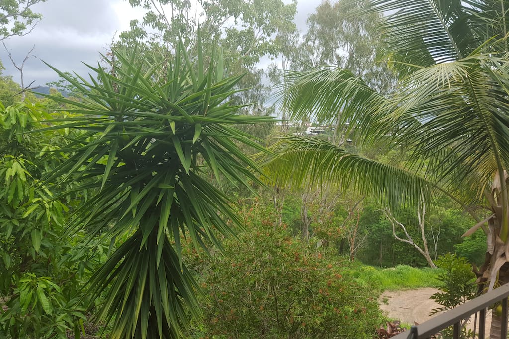 Right next door to bushland...No neighbours :)