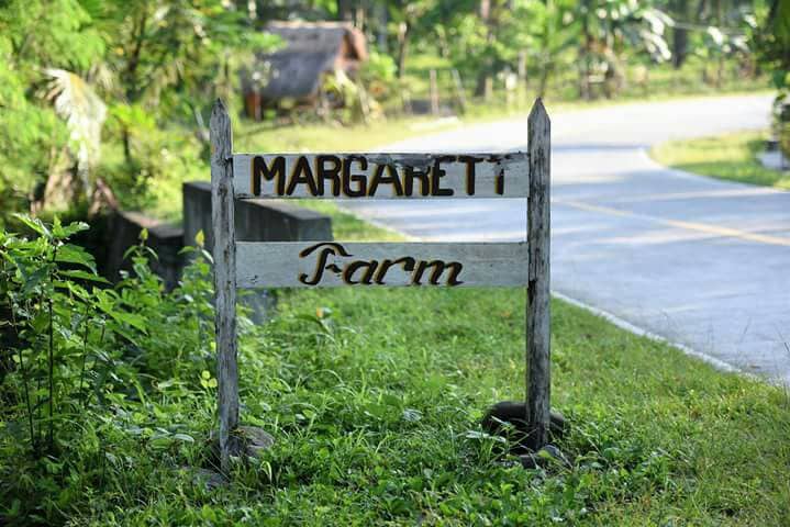 A weathered wooden sign reads 'Margarett Farm' in a natural setting, with a paved road visible in the background. Lush greenery surrounds the sign, indicating a serene and inviting landscape typical of farmsteads.