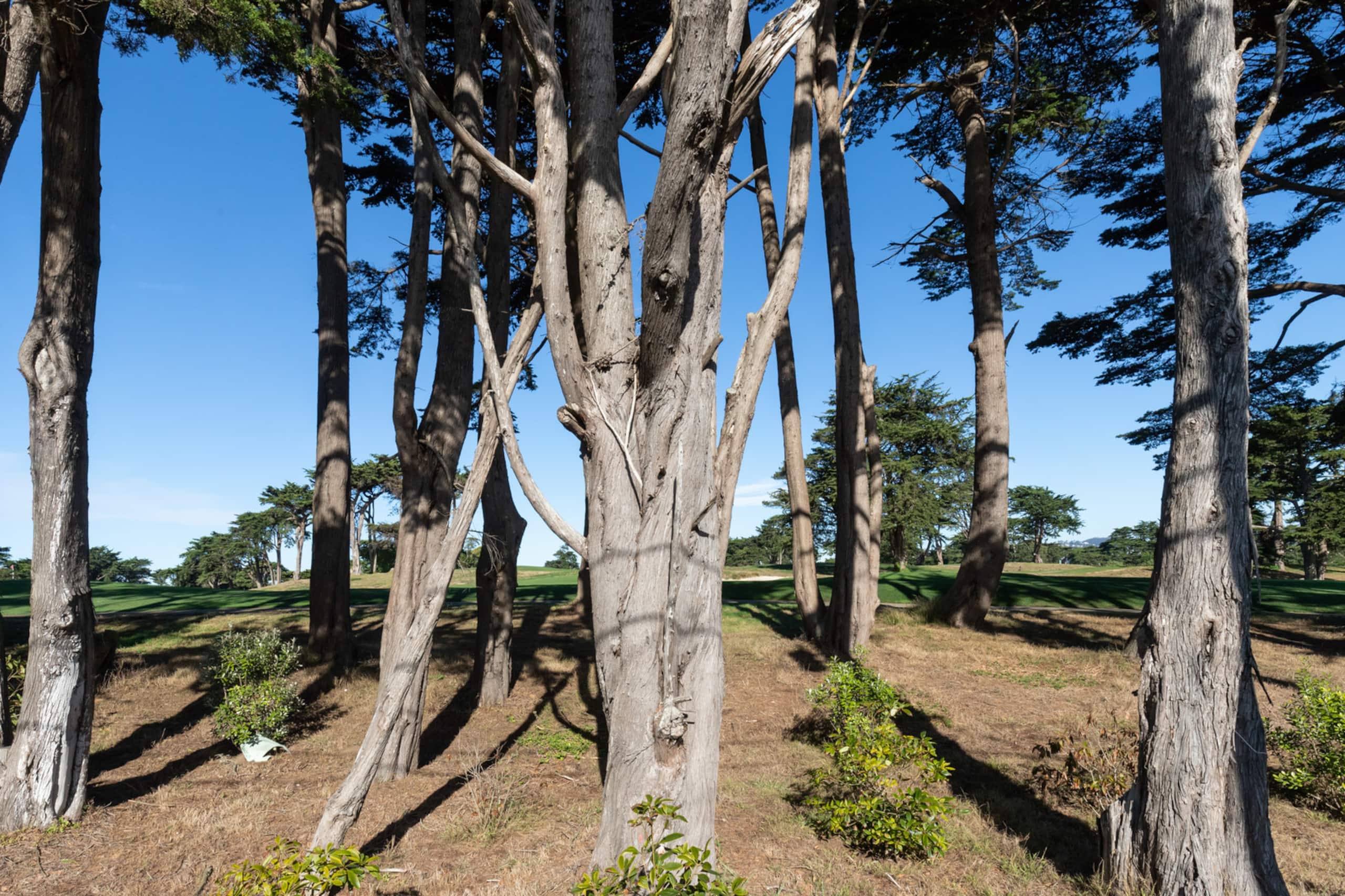 Home in Daly City · ★4.87 · 3 bedrooms · 4 beds · 2 baths - Image 20