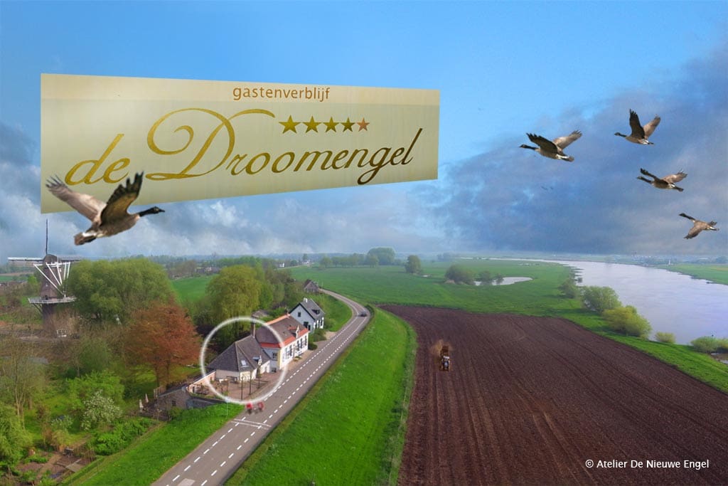 De Droomengel 'Flower' (en 'Cozy') zijn schitterend gelegen in de IJsselvallei, tussen Veluwe en Salland.