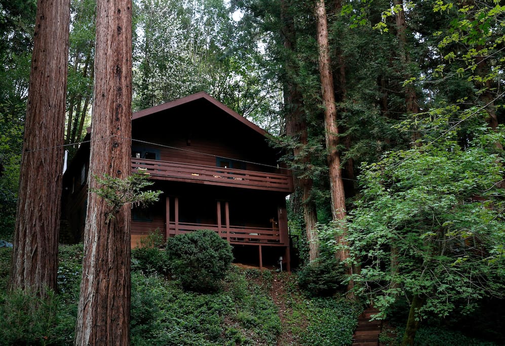 Downstairs duplex style of two-story cabin with private entrance and deck.