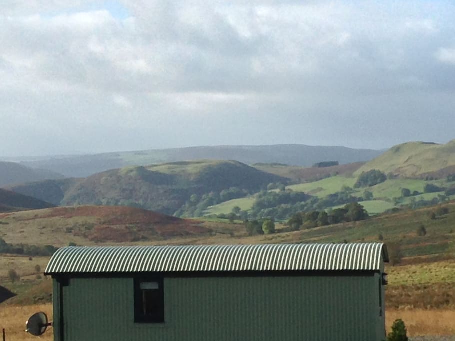 What a view!