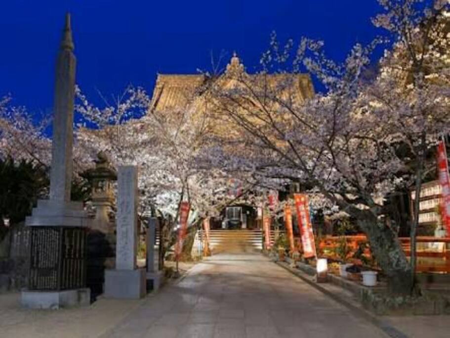 紀三井寺
Kimiidera
15 minutes on foot
http://www.kimiidera.com/pdf/english.pdf