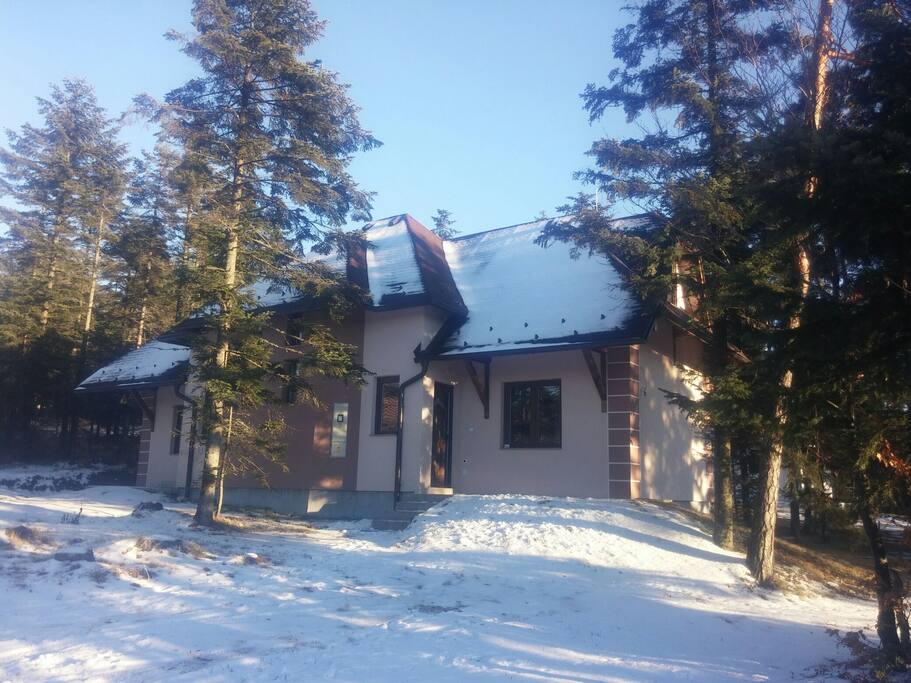 Front view