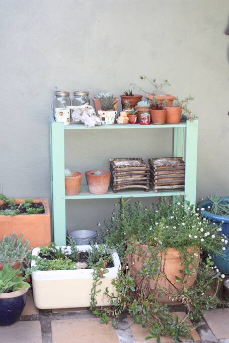 This urban garden creates a wonderful feeling of nature and suburban life.