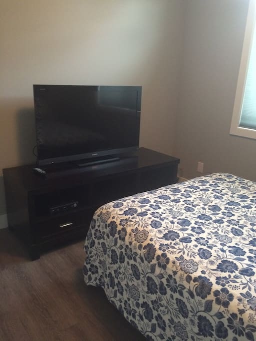 Large Screen TV with Cable