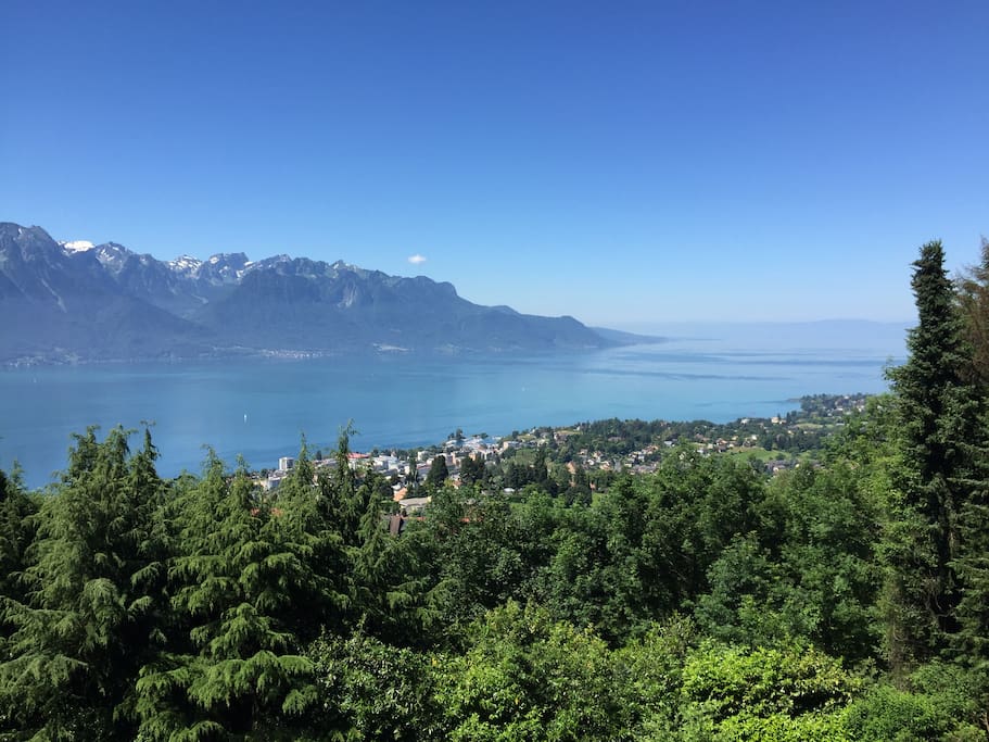 View of Lake Geneva from the garden