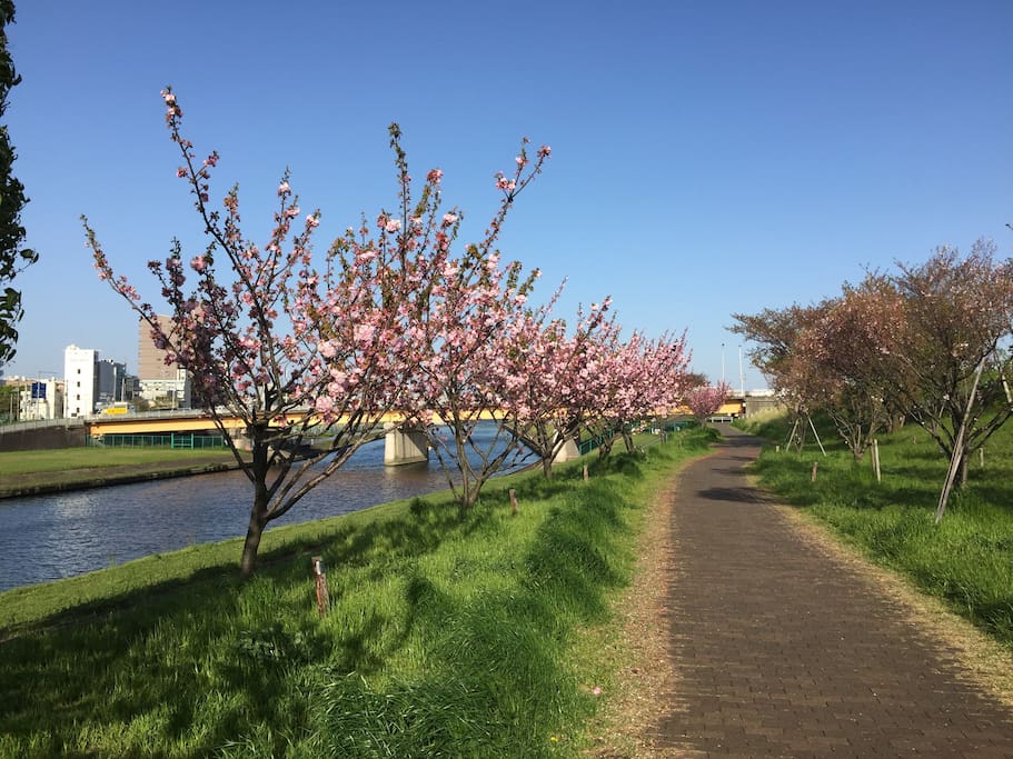 Arakawa river walking, running, biking path.