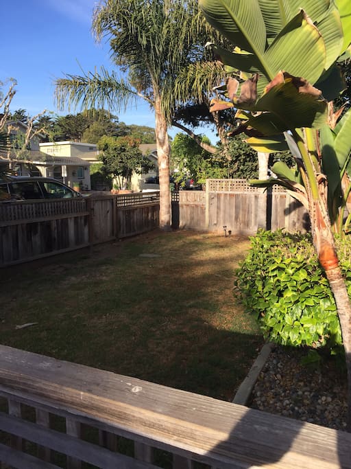 sunny fenced front yard