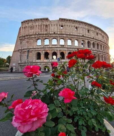 -DOMUSAUREA295 AT THE COLOSSEUM- gallery image 4