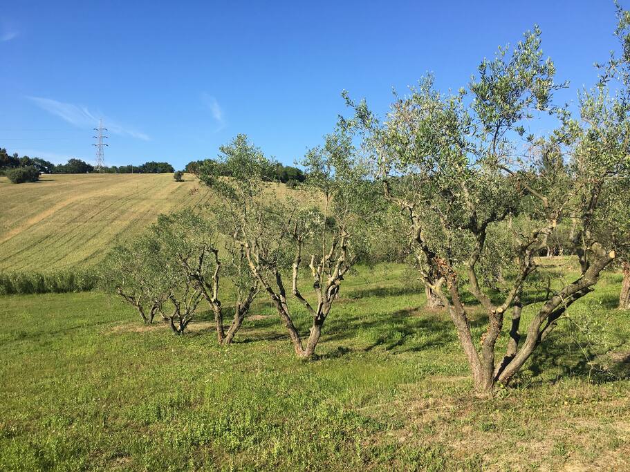 La nostra campagna