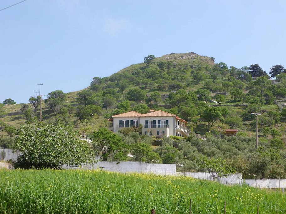 General View of the country houses