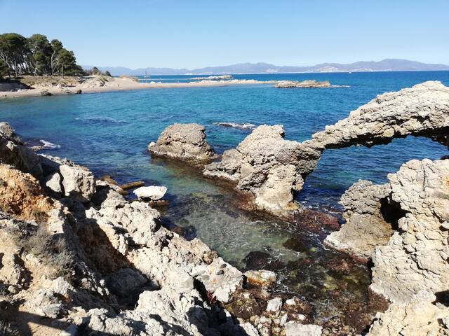 Study in natural park