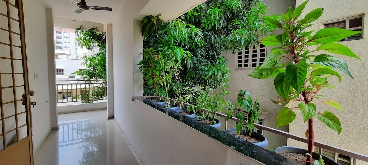 A hallway is shown with glossy white flooring and large windows providing natural light. Lush green plants in pots line a low railing, adding a touch of greenery. A door is visible at one end, leading to the interior of the home.