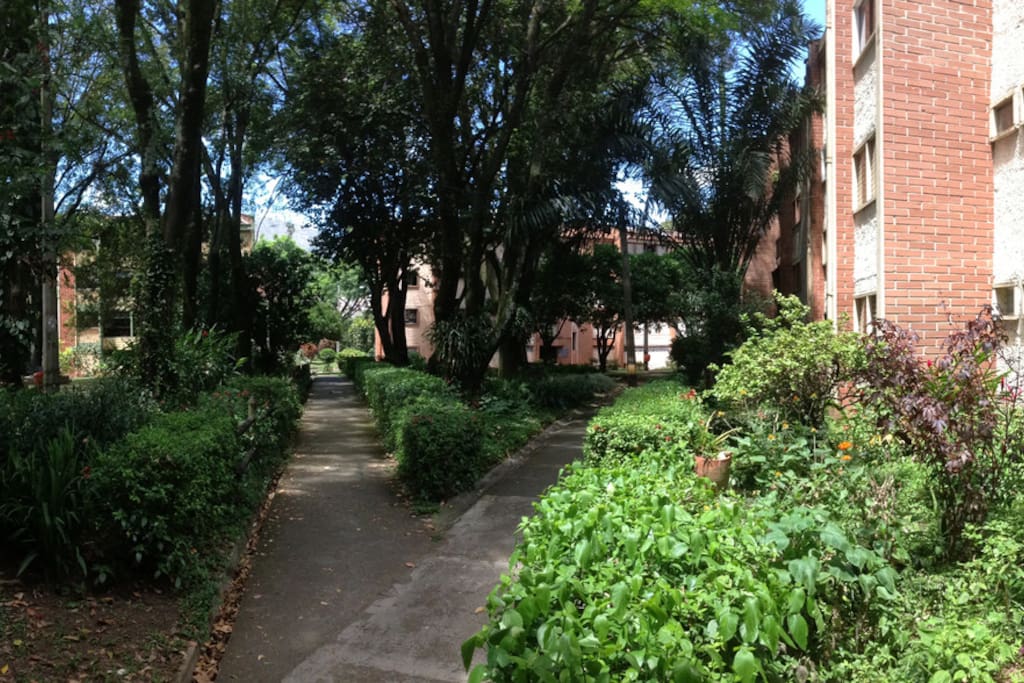 Espacio público del barrio con amplias zonas verdes / Neighborhood public space with large green areas