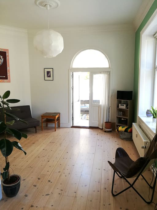 Large room sofa bed high ceilings and front balcony.