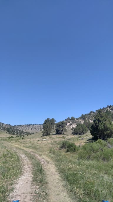 A bright blue Wyoming sky awaits