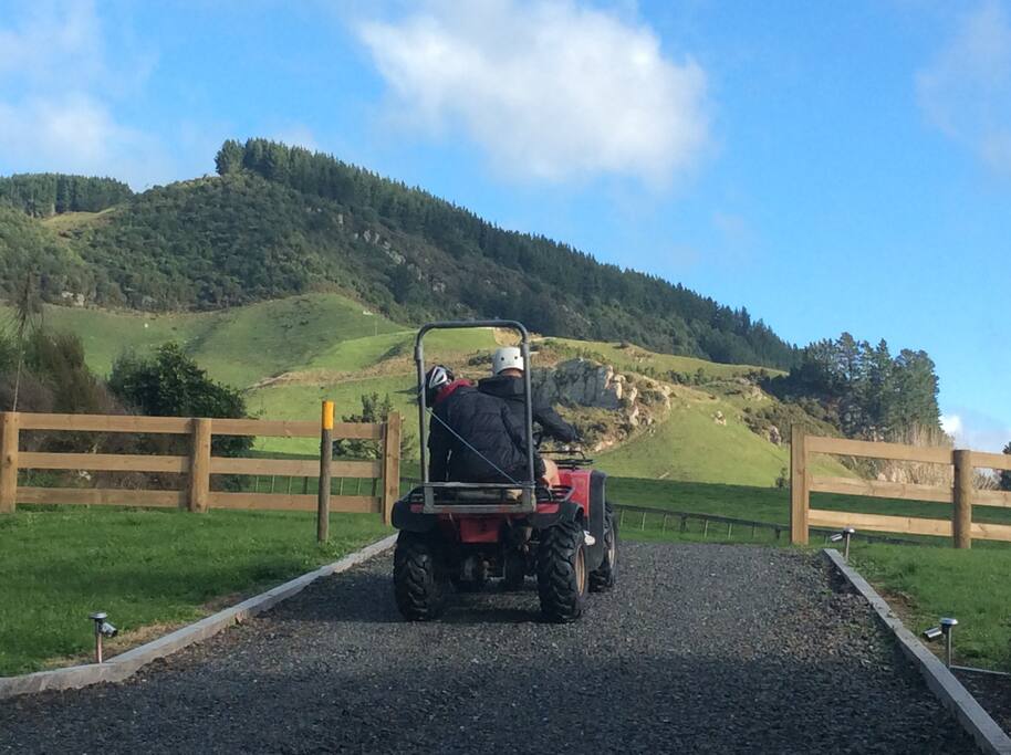 On the Waikato mountain bike river trail