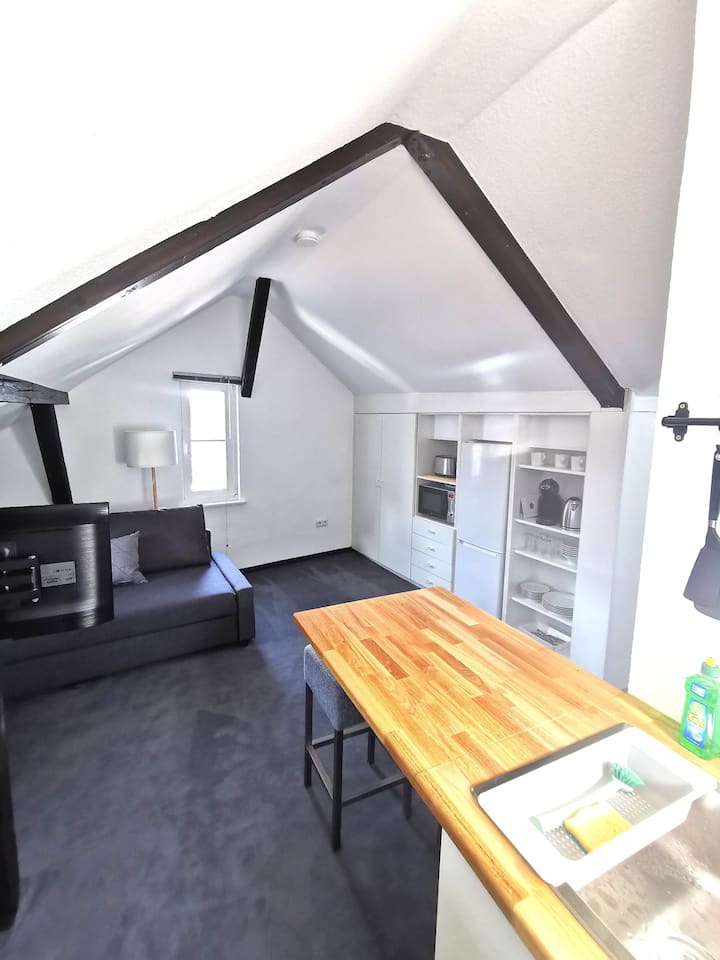 Marburg Vacation Rentals & Homes Hessen, Germany Airbnb