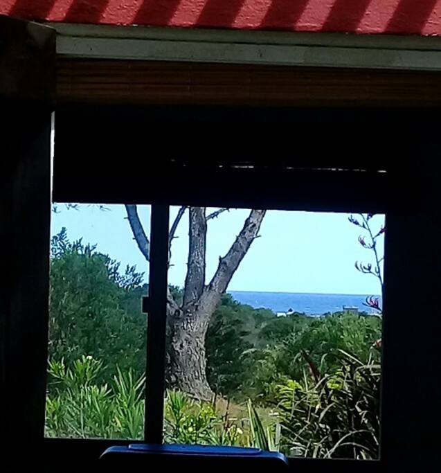 Vista desde dentro de la casa