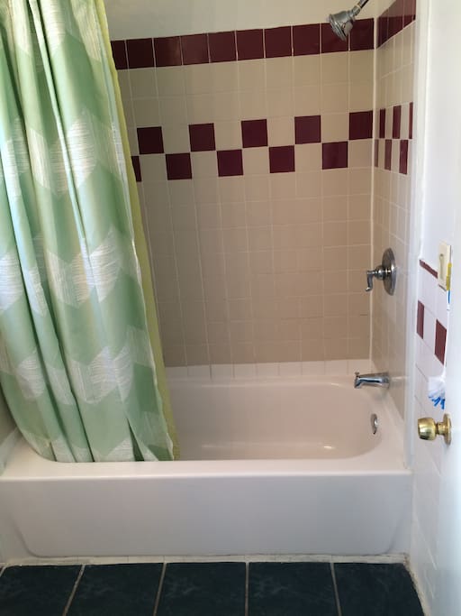 Clean bathroom with towels, hand soap, shampoo, and body wash