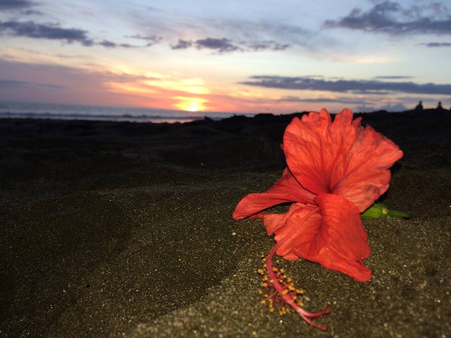 Sunset views abound