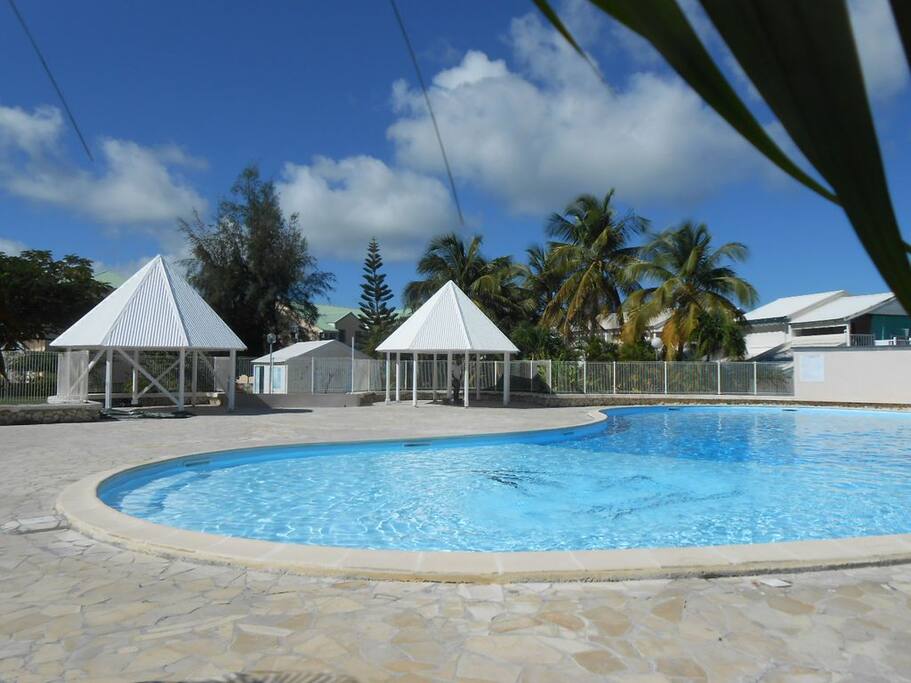 Grande piscine dans le parc