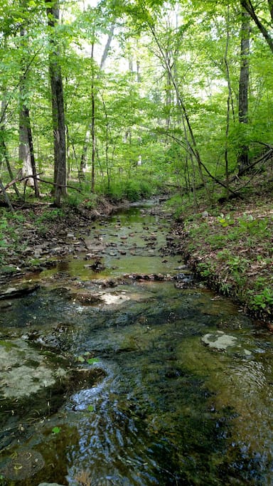 Stream behind the cottage.