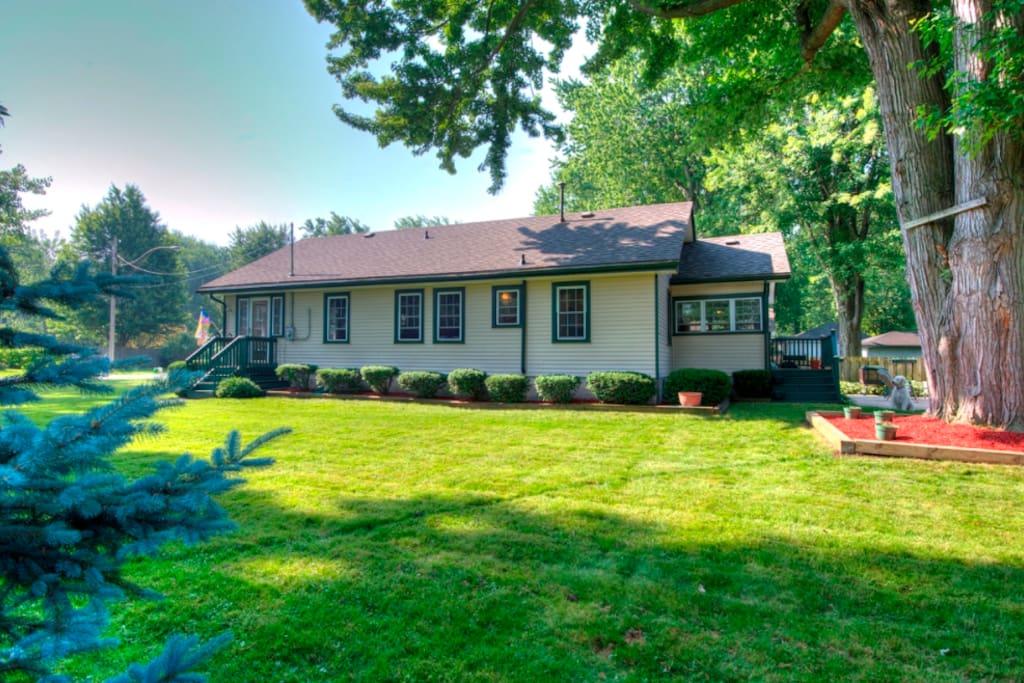 Extended yard with patio/BBQ area