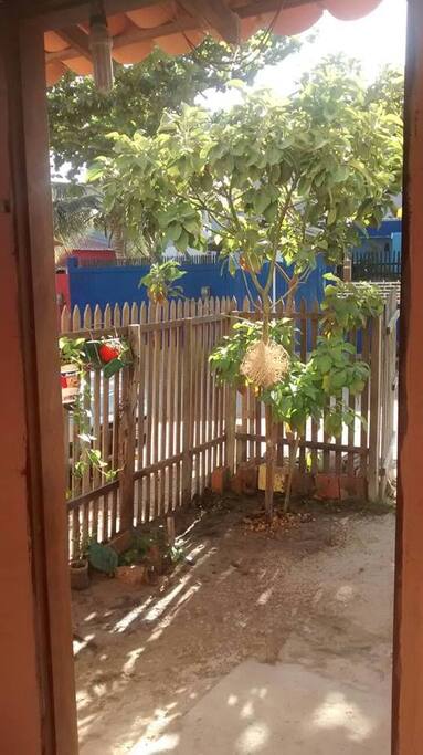Quintal da frente