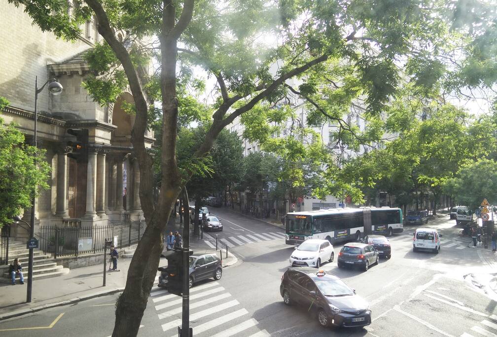 View from the window
