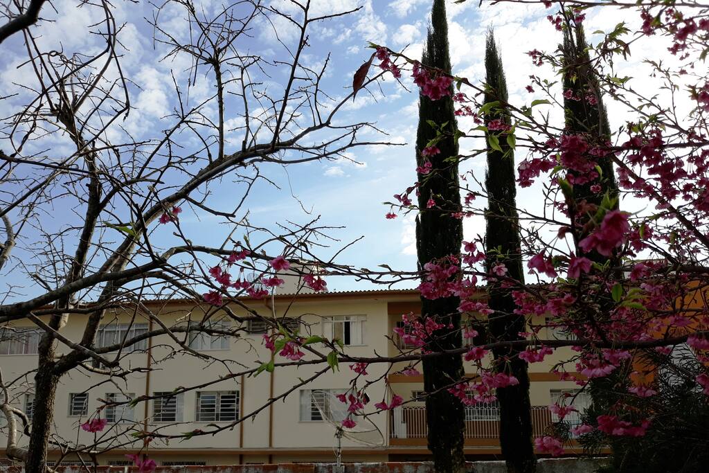Fachada externa