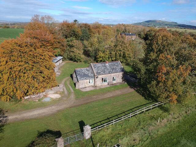 Airbnb Campile Vacation Rentals Places To Stay County