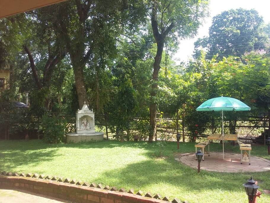 Garden