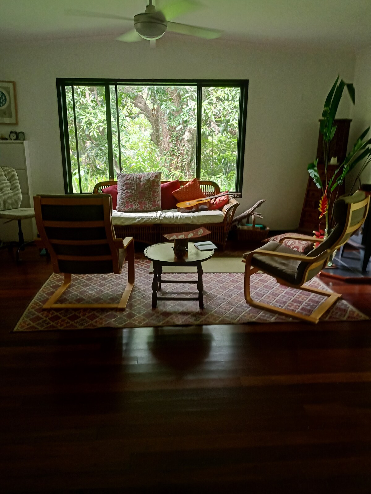 Vida fácil mirando el viejo árbol de mango