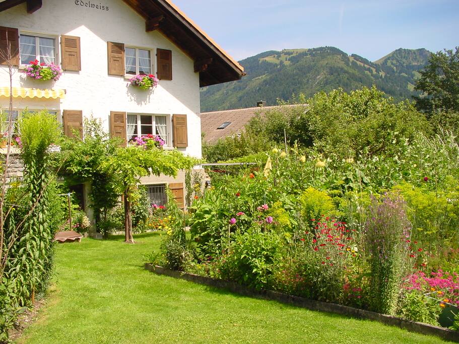 our house around mountains