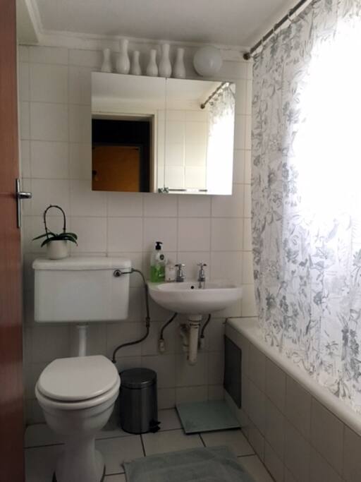 The shared bathroom with shower over bath