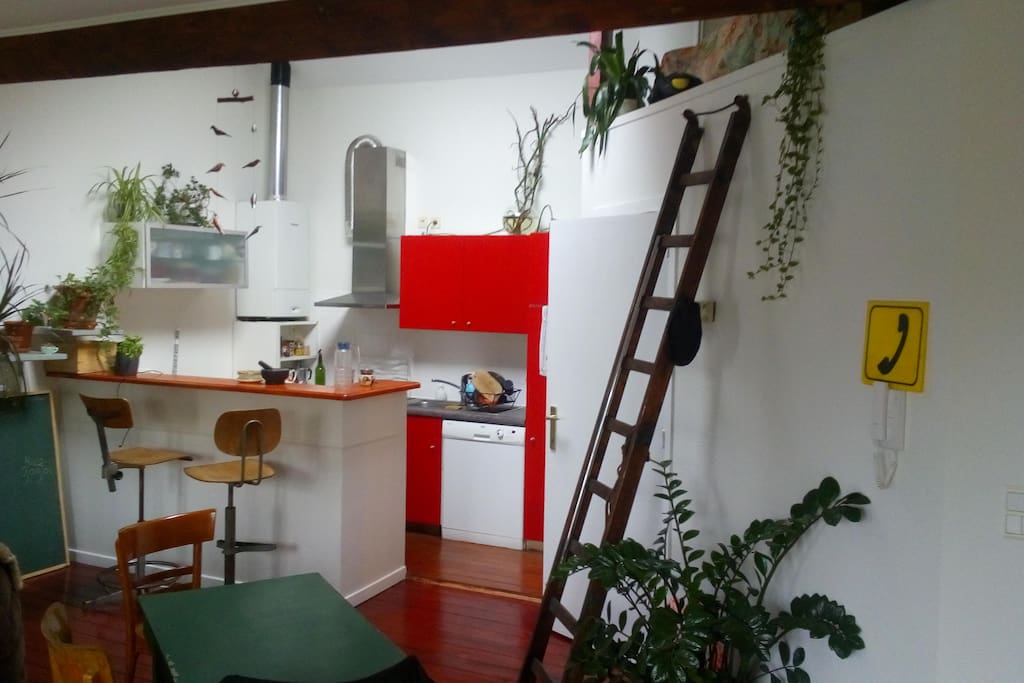 Living / kitchen