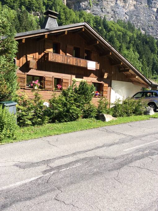 Summer time - front view
