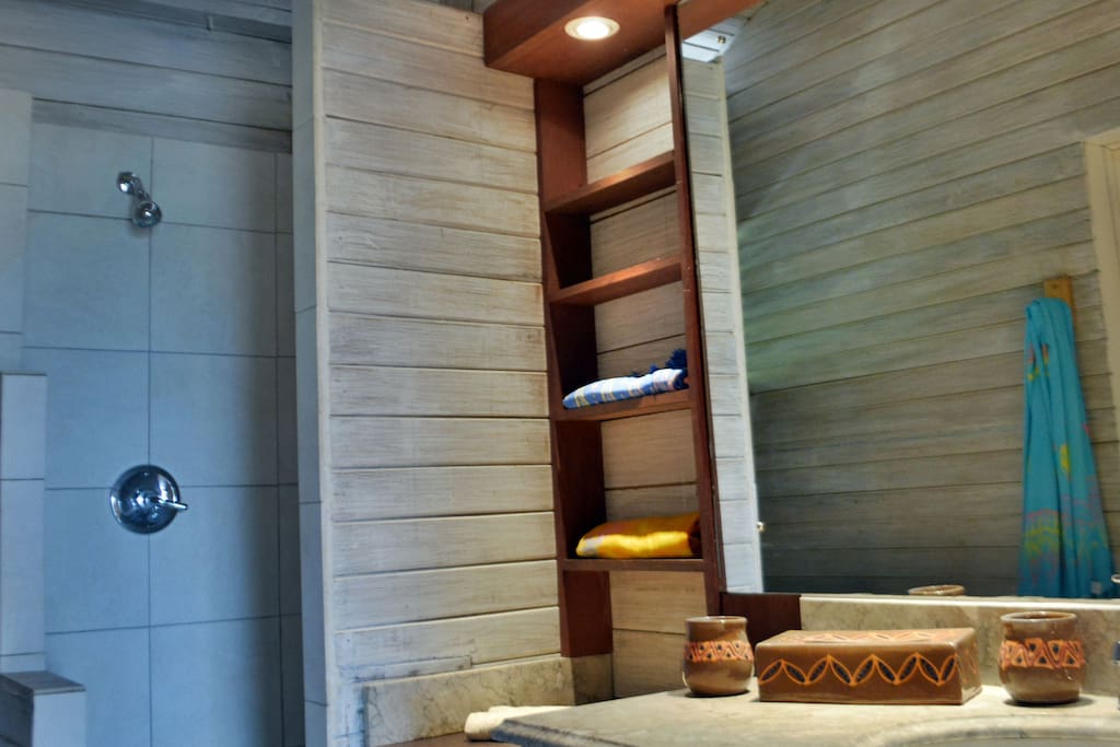 Bathroom with shower.
