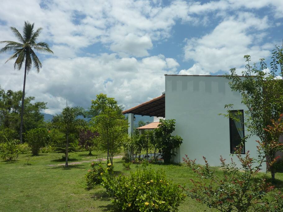 Cleo's Place