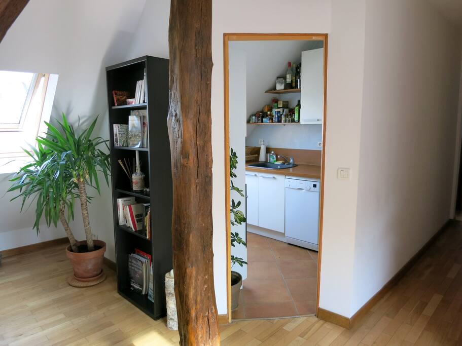 Living room and kitchen