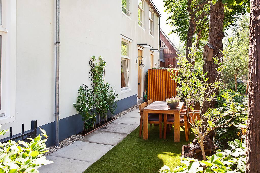 The sunny garden