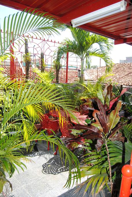 Terraza