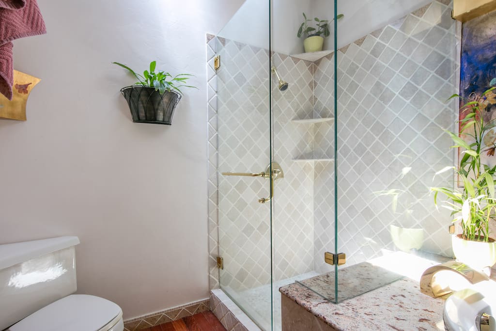Master shower